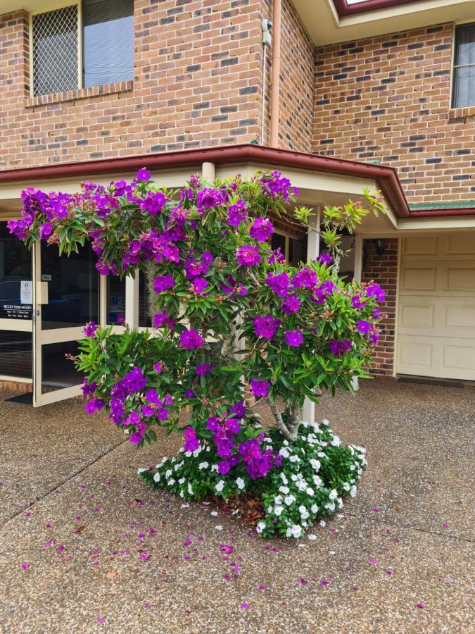 Country Gardens Motor Inn Toowoomba Exterior foto